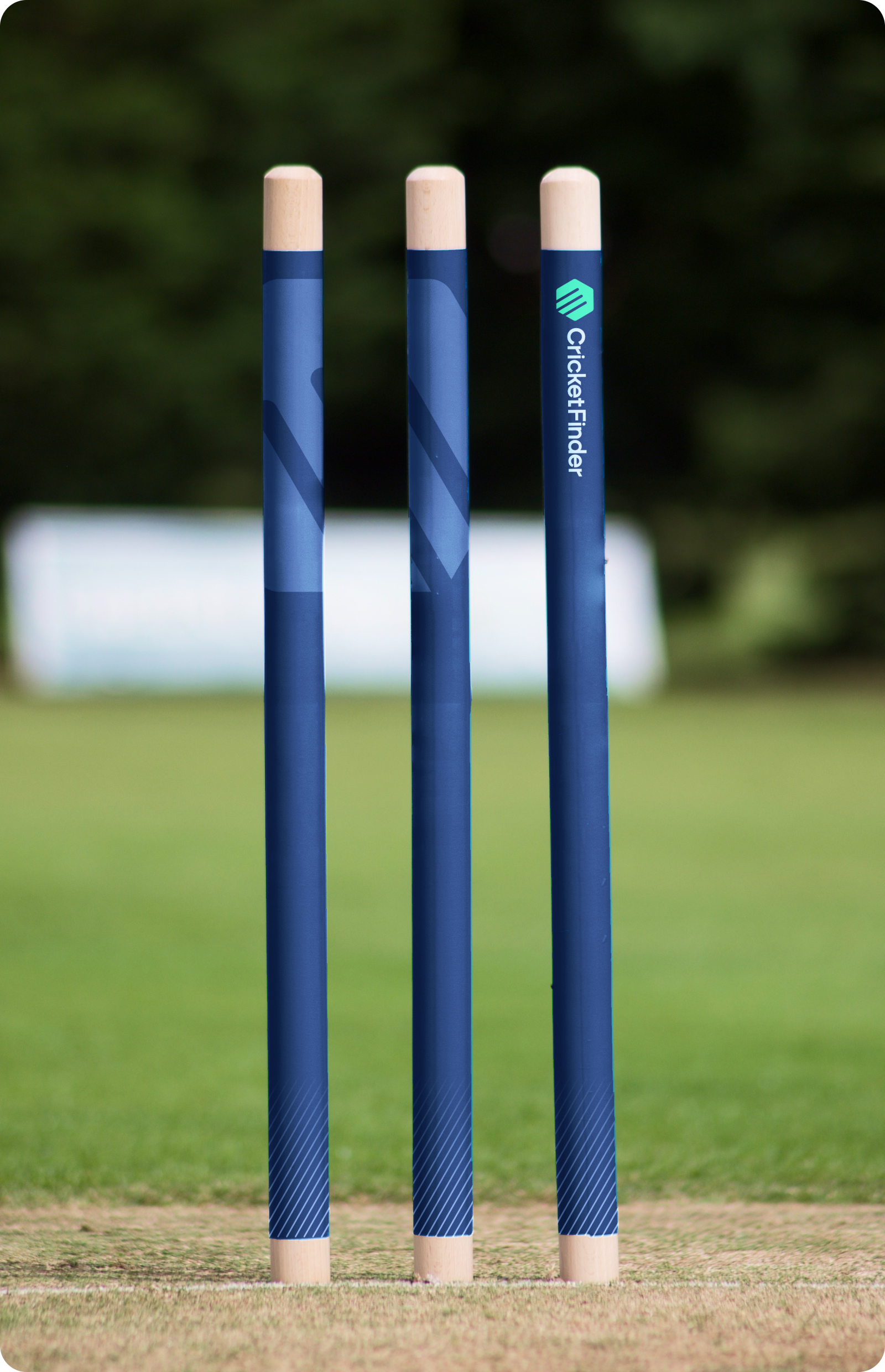 Cricket Finder Stumps